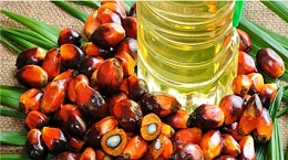 棕榈油进口清关流程