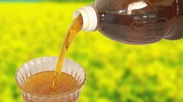 菜籽油进口报关有哪些流程？
