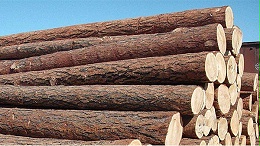 木材进口报关流程及周期|单证资料?